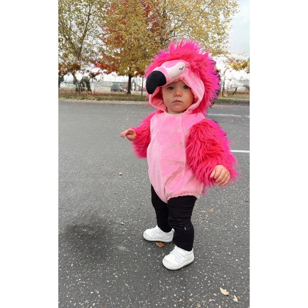Pottery Barn Kids Baby Pink Flamingo Halloween Costume 6-12 Months